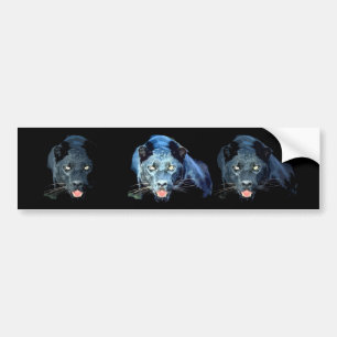 Jaguar - Black Panther Bildekal