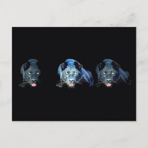 Jaguar - Black Panther Vykort