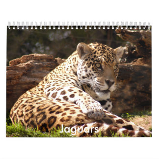 Jaguar Calendar, jaguar Kalender