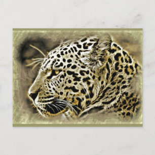 Jaguar Closeup Vykort