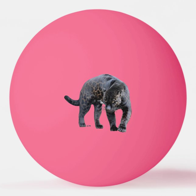 Jaguar Diablo 1 stjärna rosa ping pong boll (Framsidan)