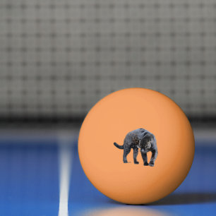 Jaguar Diablo 3-stjärnig orange ping pong boll