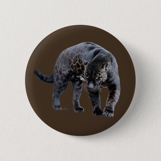 Jaguar Diablo brun knapp (Framsida)