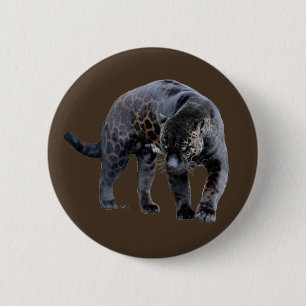 Jaguar Diablo brun knapp