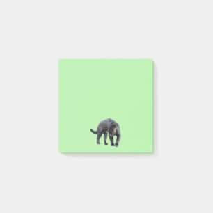 Jaguar Diablo grönt 3x3-dynor Post-it Block