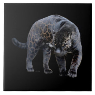 Jaguar Diablo, svart, stor keramiskt plattor Kakelplatta