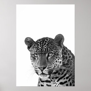 Jaguar Djungel Modern Porträtt svart vitt Poster