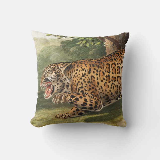 Jaguar (Felis onca) Kudde (Framsida)