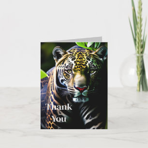 Jaguar - Fierce Jungle Predator Tack Kort