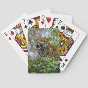 Jaguar Growl Casinokort