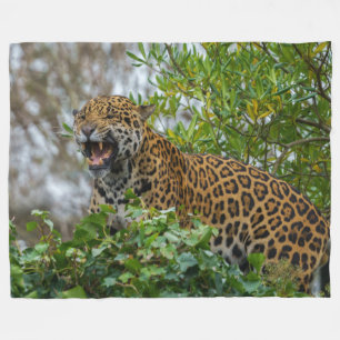 Jaguar Growl Fleecefilt