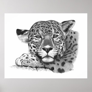 Jaguar i Pencil Poster