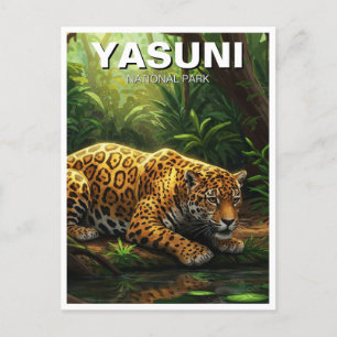 Jaguar i Yasuni National Park Ecuador Vykort