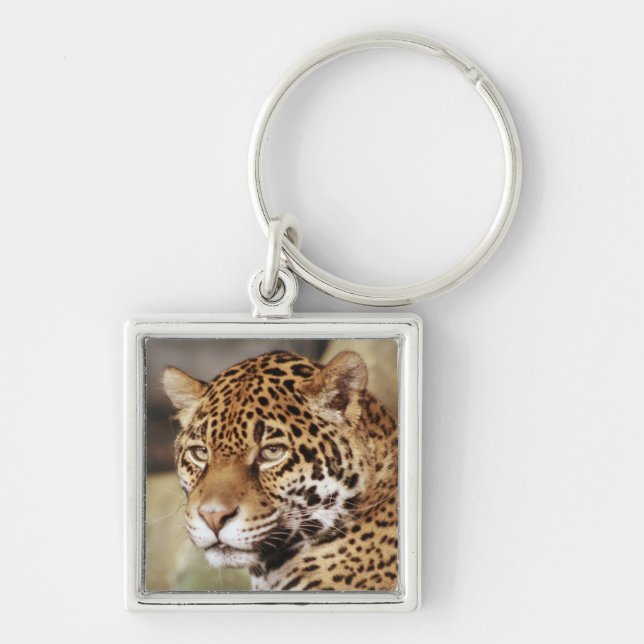 Jaguar Keychain Fyrkantig Silverfärgad Nyckelring (Framsidan)