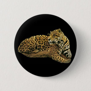 Jaguar knäppas knapp