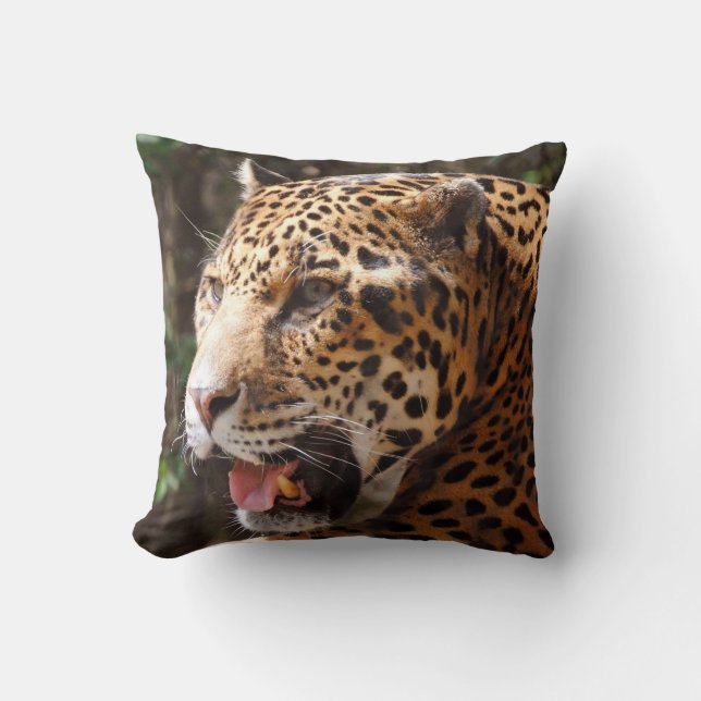 Jaguar Kudde (Framsida)