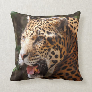 Jaguar Kudde