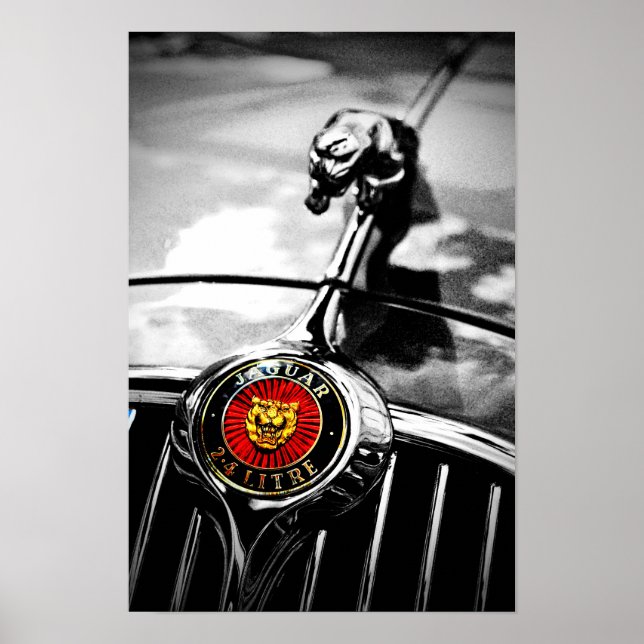 Jaguar Leaper Leaping Cat Poster (Framsidan)