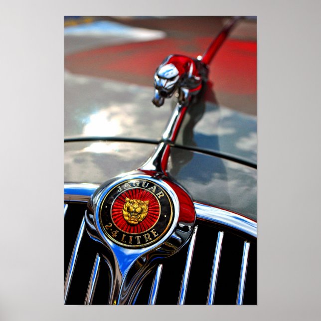 Jaguar Leaper Leaping Cat Poster (Framsidan)