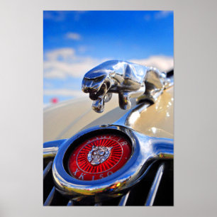 Jaguar Leaper Leaping Cat Poster