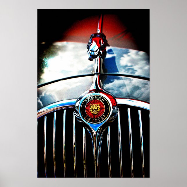 Jaguar Leaper Leaping Cat Poster (Framsidan)