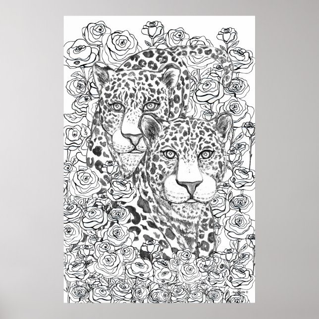 Jaguar Magi Poster (Framsidan)