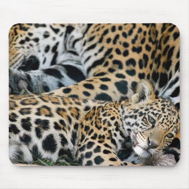 jaguar-mamma-och-baby musmatta (Framsidan)