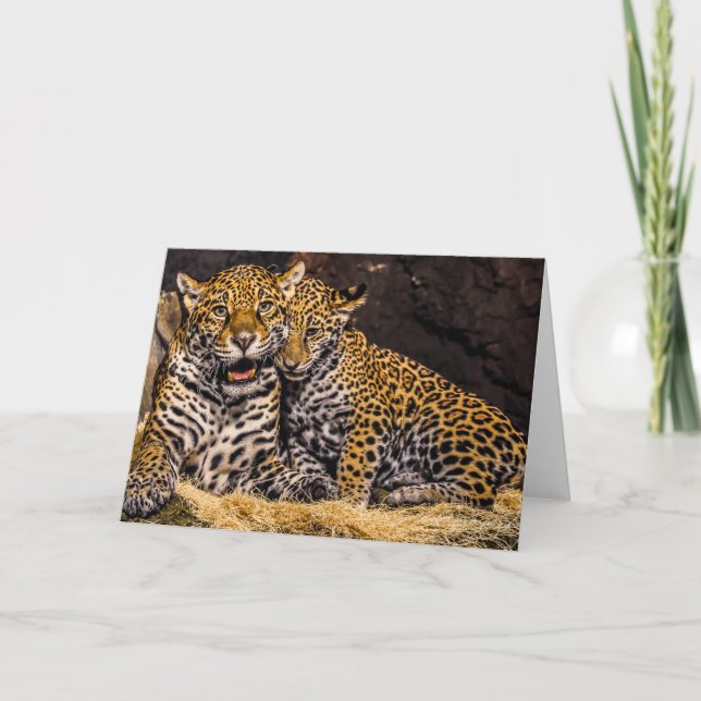 Jaguar Mamma & Unge Greeting Card Kort (Framsida)