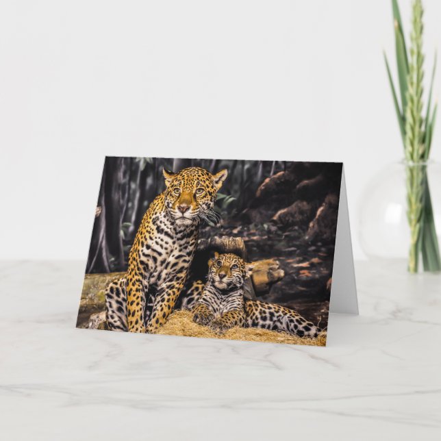Jaguar Mamma & Unge Greeting Card Kort (Framsida)