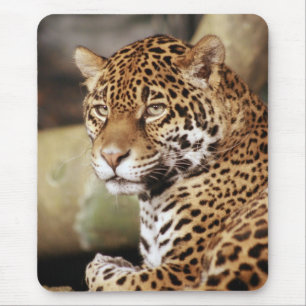 Jaguar Mousepad Musmatta