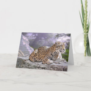 Jaguar och Mayan Temple Card Kort