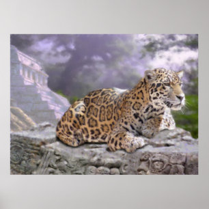 Jaguar och Mayan Temple Poster