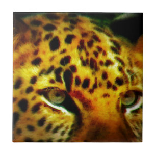 Jaguar Ögon Kakelplatta