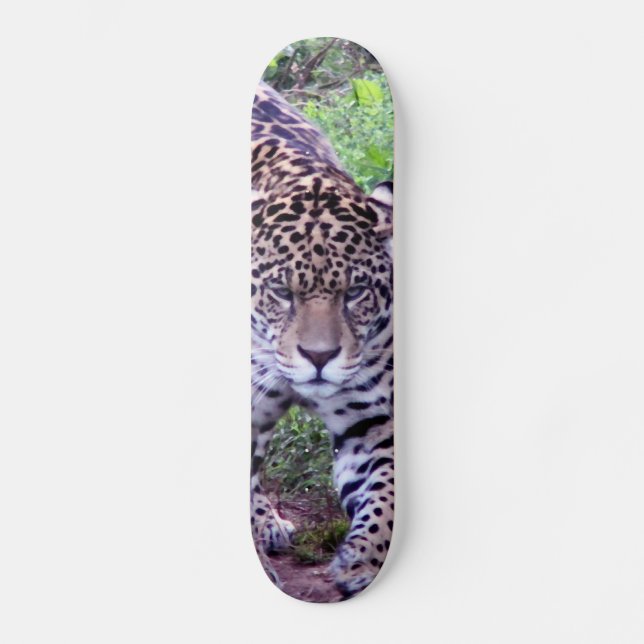 JAGUAR OLD SCHOOL SKATEBOARD BRÄDA 18 CM (Framsida)