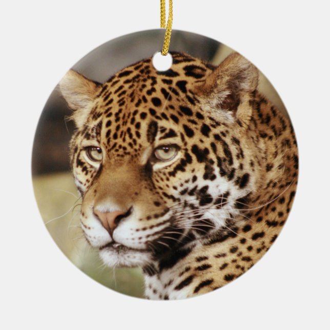 Jaguar Ornament (Framsidan)