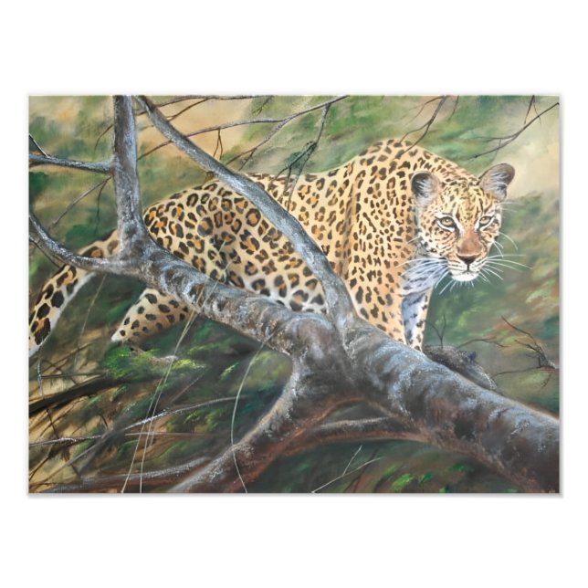 Jaguar på Prowl Fototryck (Framsidan)