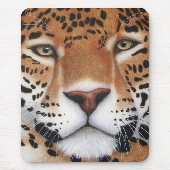 Jaguar Painting Musmatta (Framsidan)