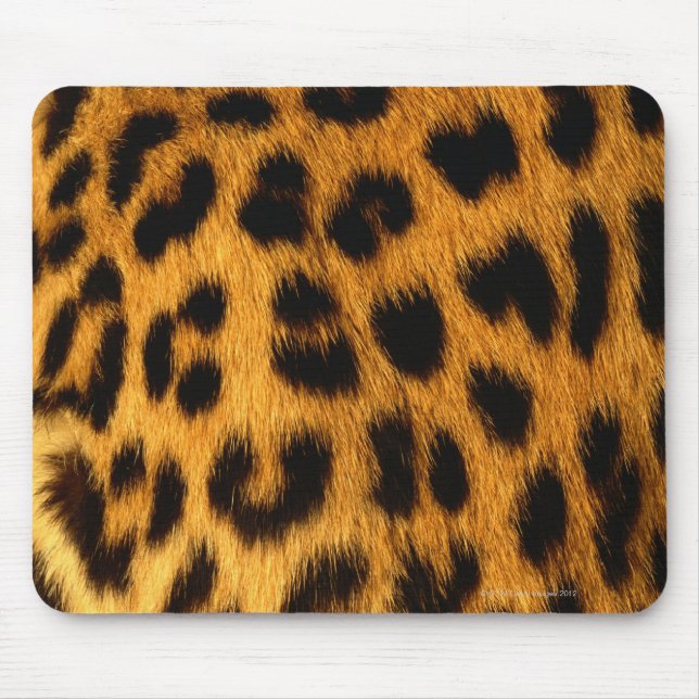 Jaguar Päls Musmatta (Framsidan)