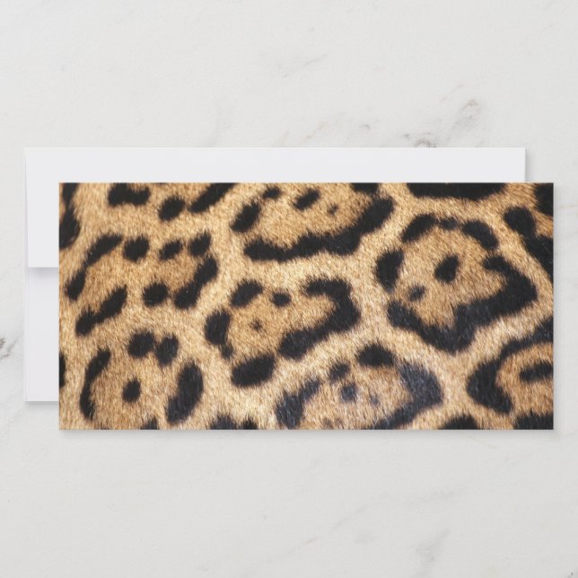 Jaguar Päls Photo Print (Framsida)