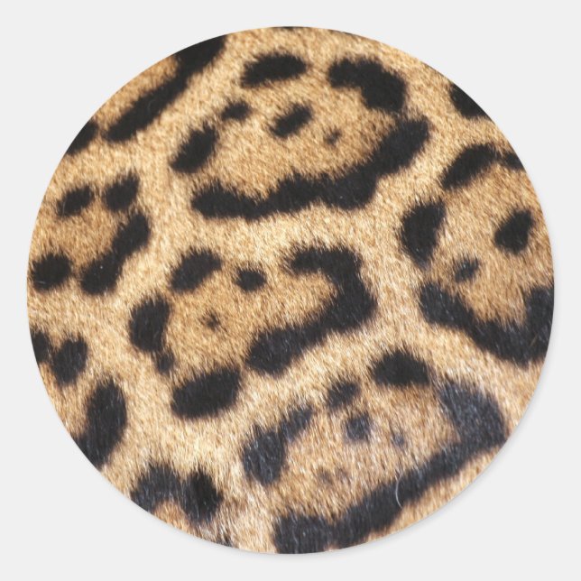 Jaguar Päls Photo Print Runt Klistermärke (Framsida)