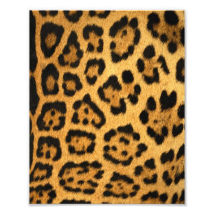 Jaguar Päls Print Fototryck