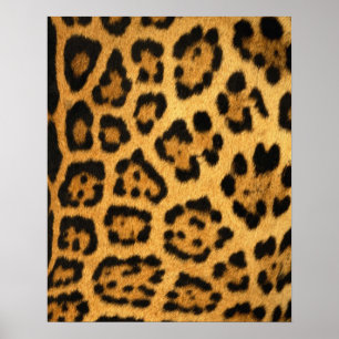 Jaguar Päls Print Poster
