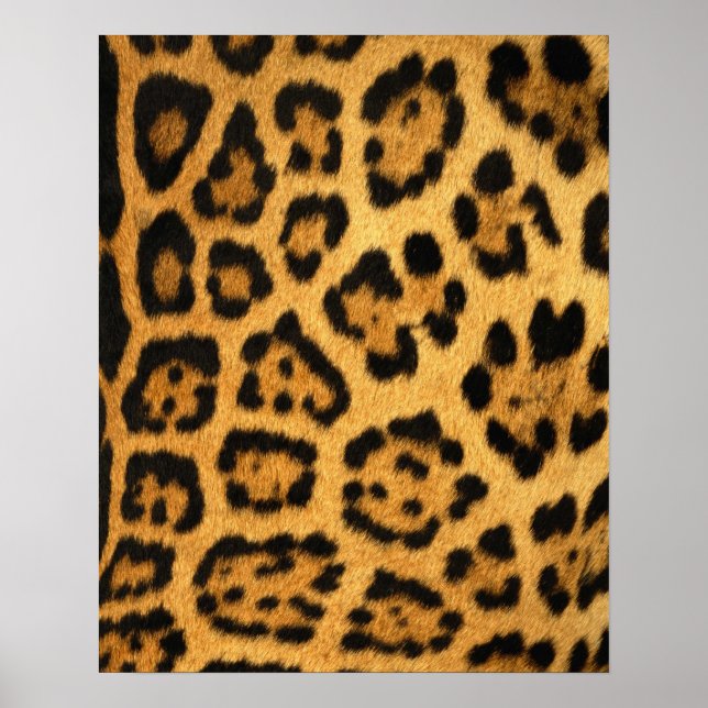 Jaguar Päls Print Poster (Framsidan)