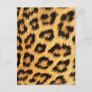 Jaguar Päls Vykort
