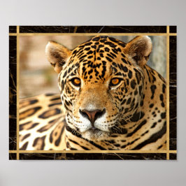 Jaguar Photo Print Poster