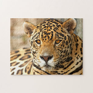 Jaguar Photo Pussel