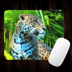 Jaguar Photography Majestic Musmatta