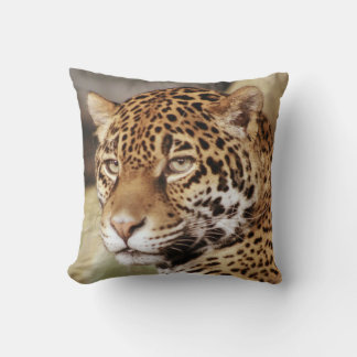 Jaguar Pillow Kudde