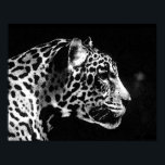 Jaguar Pop Art Poster<br><div class="desc">Black & White Jaguar Porträtt Poster - Pop Art Jaguar Image - Big Vild katt Prints - the Head of the Jaguar - Ansikte of Jaguar</div>
