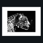 Jaguar Pop Art Poster Skriv ut - Jaguar Poster<br><div class="desc">Black & White Jaguar Porträtt Poster - Pop Art Jaguar Image - Big Vild katt Prints - the Head of the Jaguar - Ansikte of Jaguar</div>